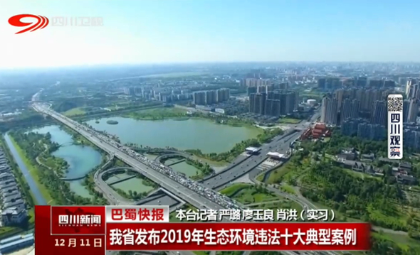 我省发布2019年生态环境违法十大典型案...