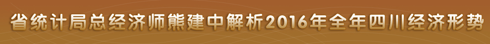 四川省政府网站