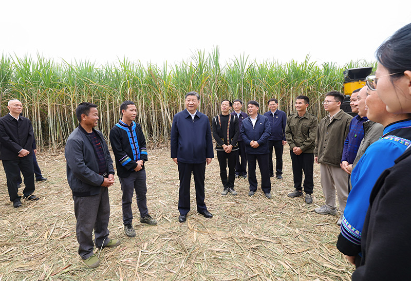 习近平在广西考察时强调 
解放思想创新求变向海图强开放发展 
奋力谱写中国式现代化广西篇章 
蔡奇陪同考察「相关图片」