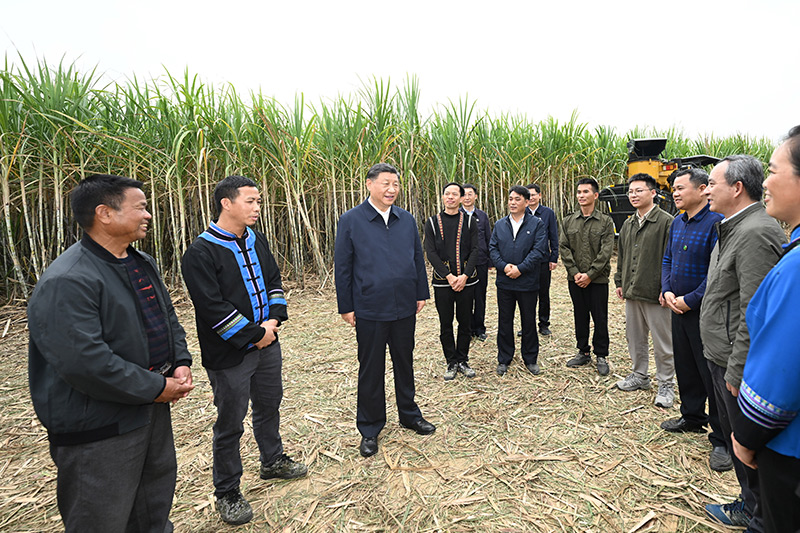 习近平在广西考察时强调 
解放思想创新求变向海图强开放发展 
奋力谱写中国式现代化广西篇章 
蔡奇陪同考察「相关图片」