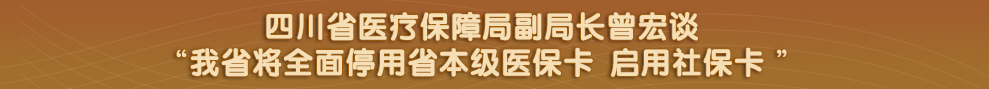 四川省政府网站