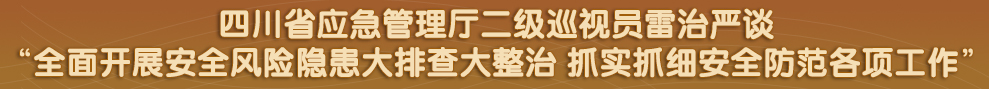 四川省政府网站