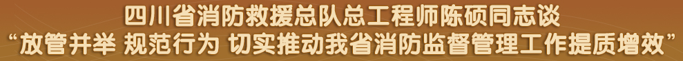 四川省政府网站