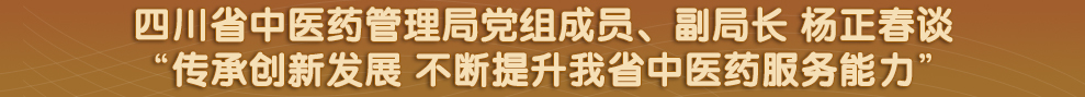 四川省政府网站