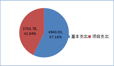 说明: 3.2020年决算公开（机关）3803013